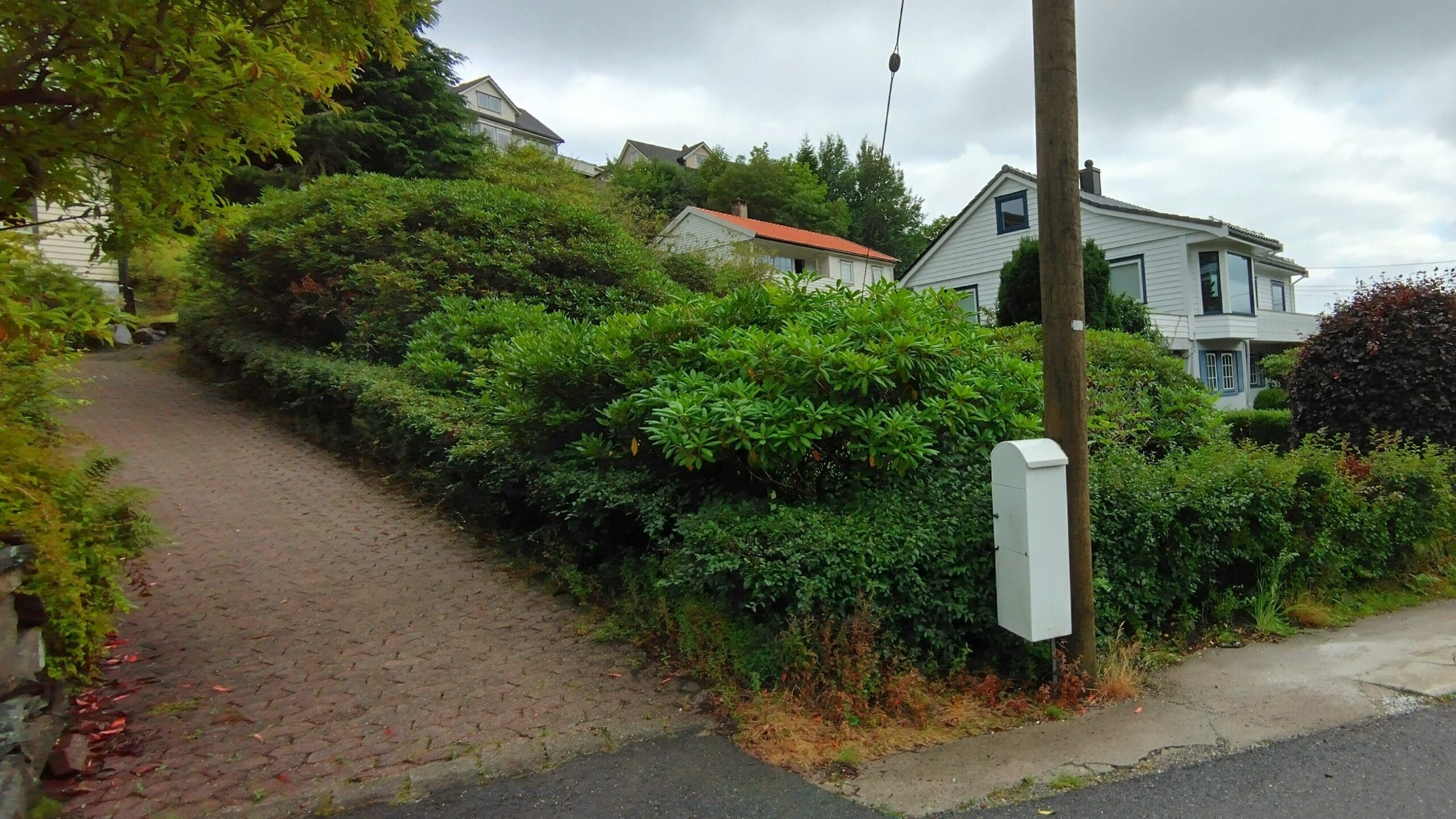 IMG_20240808_091508_HDR