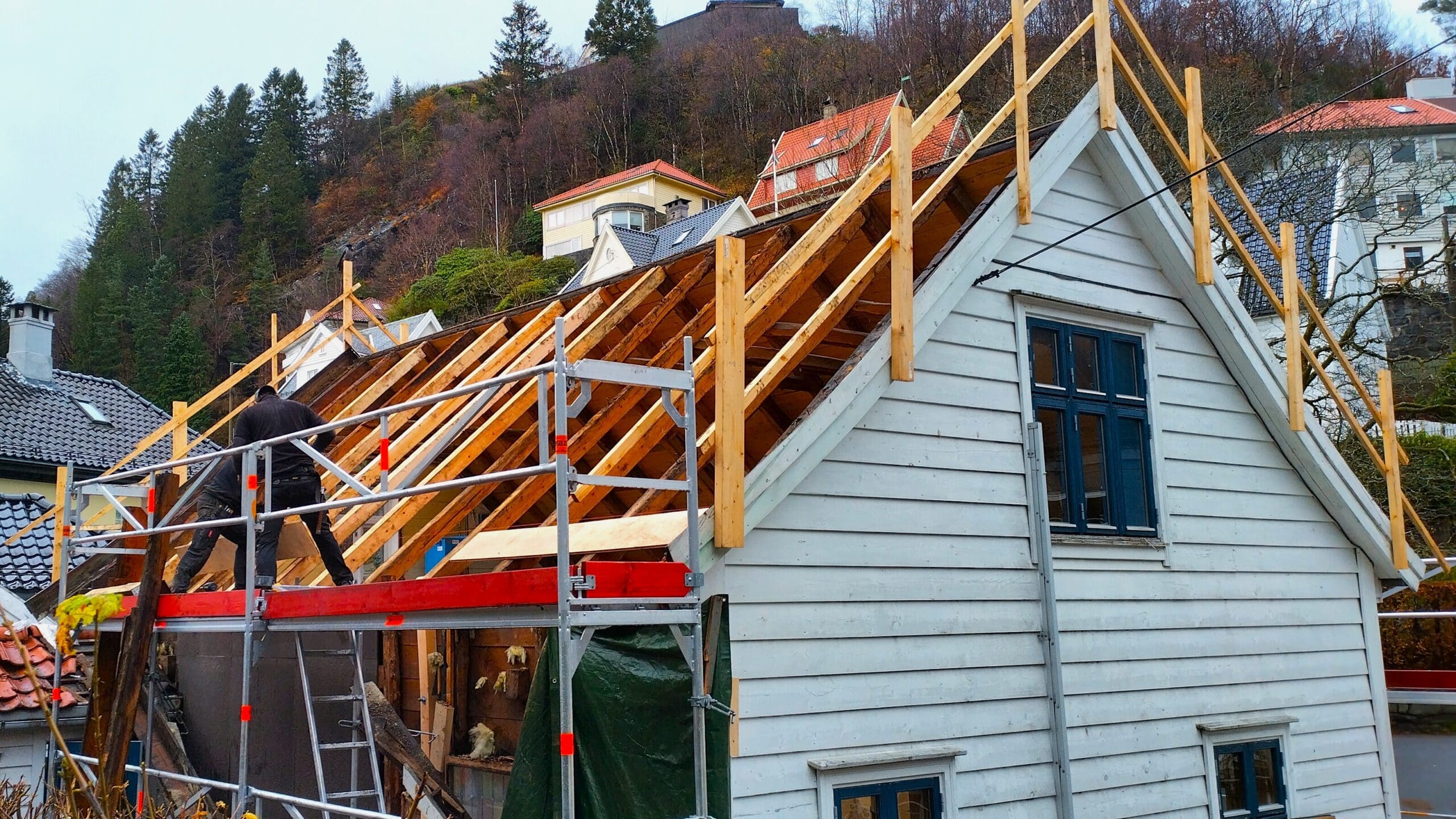 IMG_20241104_141142_HDR