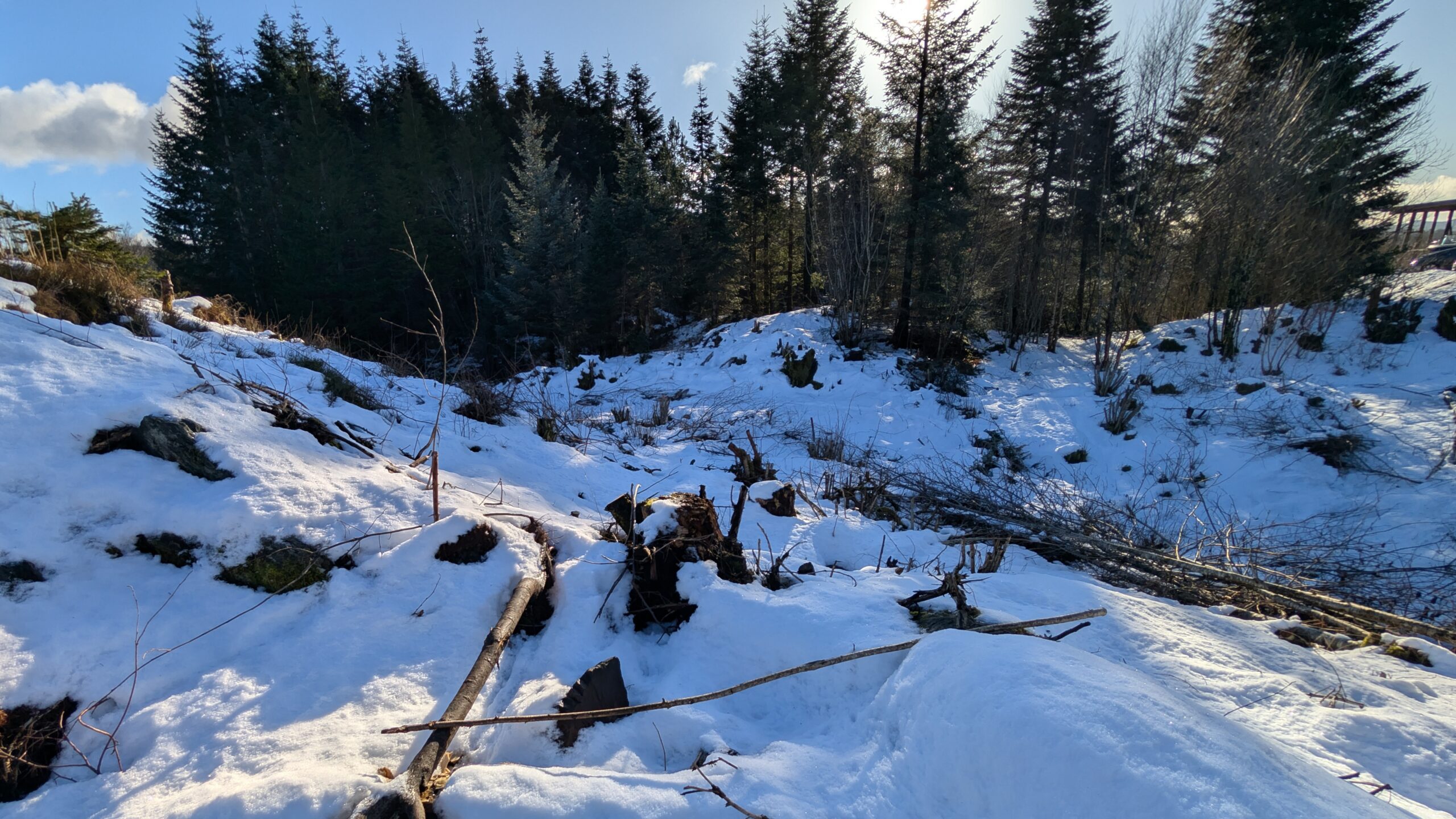 PXL_20260221_100829571 – Kopi